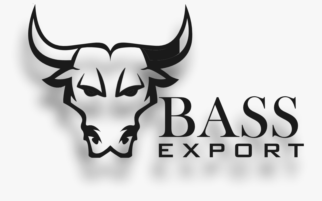Bass Export Logo